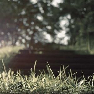 Meet your Posher, Jeffery